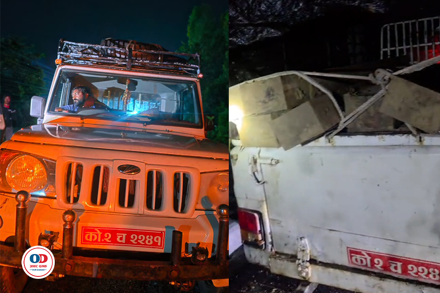 हम्सेदुम्से सामुदायिक वन क्षेत्रबाट ठूलो परिमाणमा सखुवाको काठ बरामद